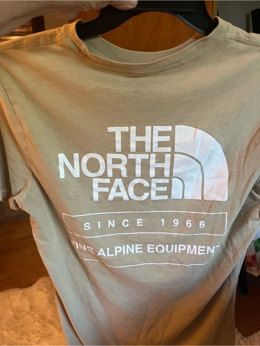 The North Face Tan Logo Short Sleeve Tee